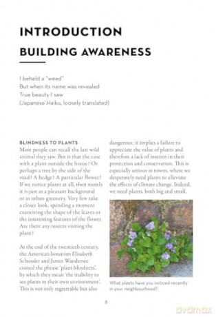 A Field Guide to Urban Plants: Common Species of Pavements, Walls and Waste Ground - Alexandra-Maria Klein [KSIĄŻKA]