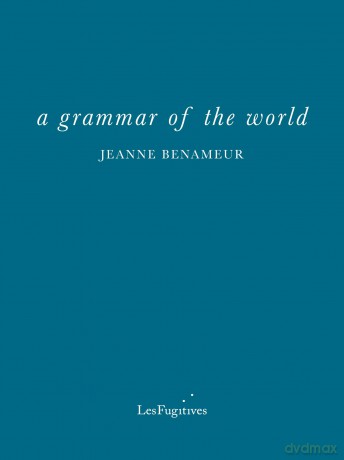 a grammar of the world - Jeanne Benameur [KSIĄŻKA]