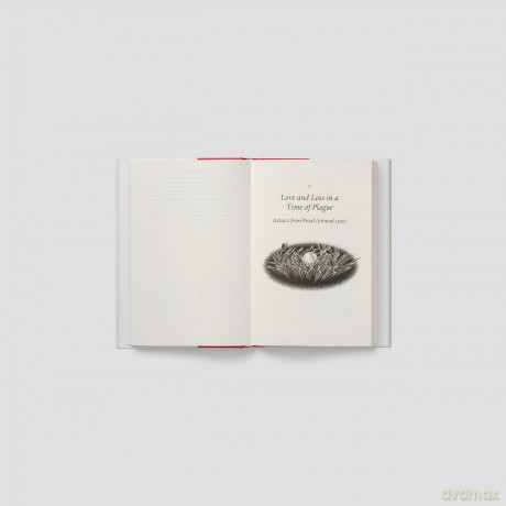 A History of England in 25 Poems - Catherine Clarke [KSIĄŻKA]