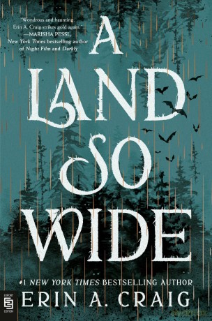 A Land So Wide: A Novel - Erin A. Craig [KSIĄŻKA]