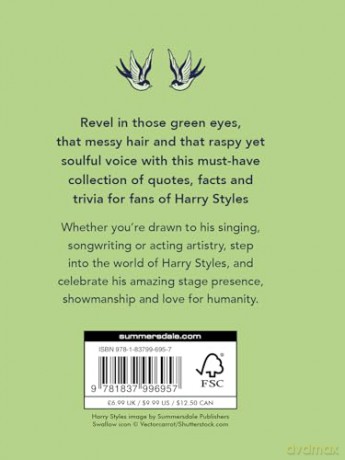 A Little Bit of Harry Styles: An Unofficial Celebration of a Modern Icon [KSIĄŻKA]