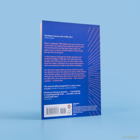 A Little Trickerie: Longlisted for the Women's Prize for Fiction 2025 - Rosanna Pike [KSIĄŻKA]