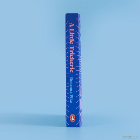 A Little Trickerie: Longlisted for the Women's Prize for Fiction 2025 - Rosanna Pike [KSIĄŻKA]