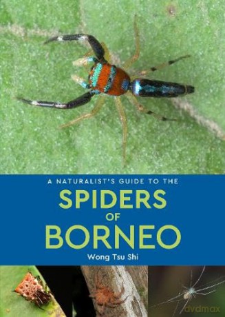 A Naturalist's Guide to the Spiders of Borneo - Tus Shi Wong [KSIĄŻKA]