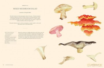 A Passion for Mushrooms: A comprehensive cookbook and foraging field guide for mushroom enthusiasts - Antonio Carluccio [KSIĄŻKA]