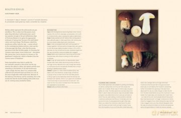 A Passion for Mushrooms: A comprehensive cookbook and foraging field guide for mushroom enthusiasts - Antonio Carluccio [KSIĄŻKA]