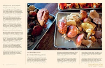 A Passion for Mushrooms: A comprehensive cookbook and foraging field guide for mushroom enthusiasts - Antonio Carluccio [KSIĄŻKA]