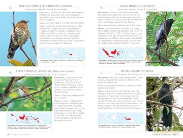 A Photographic Guide to the Birds of Indonesia: Updated Second Edition - Morten Strange [KSIĄŻKA]