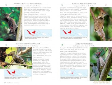 A Photographic Guide to the Birds of Indonesia: Updated Second Edition - Morten Strange [KSIĄŻKA]