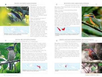 A Photographic Guide to the Birds of Indonesia: Updated Second Edition - Morten Strange [KSIĄŻKA]