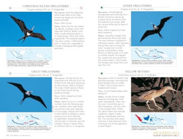 A Photographic Guide to the Birds of Indonesia: Updated Second Edition - Morten Strange [KSIĄŻKA]