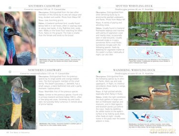 A Photographic Guide to the Birds of Indonesia: Updated Second Edition - Morten Strange [KSIĄŻKA]