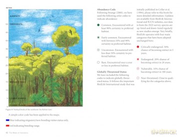 A Photographic Guide to the Birds of Indonesia: Updated Second Edition - Morten Strange [KSIĄŻKA]
