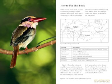 A Photographic Guide to the Birds of Indonesia: Updated Second Edition - Morten Strange [KSIĄŻKA]