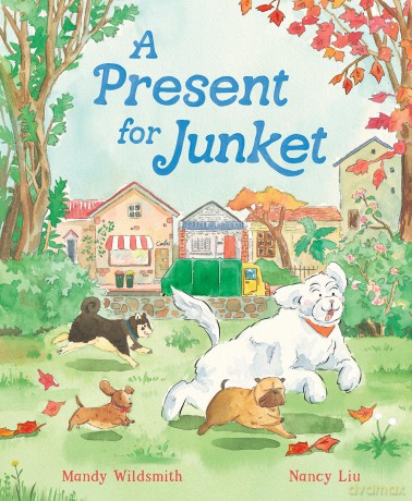 A Present for Junket - Mandy Wildsmith [KSIĄŻKA]