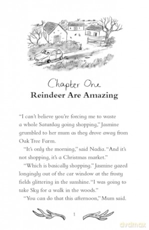 A Reindeer Called Joy - Helen Peters [KSIĄŻKA]