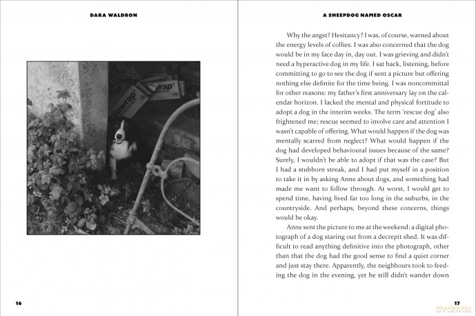 A Sheepdog Named Oscar: Love and Companionship in Rural Ireland - Dara Waldron [KSIĄŻKA]