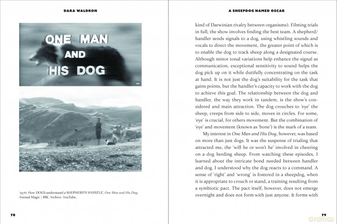 A Sheepdog Named Oscar: Love and Companionship in Rural Ireland - Dara Waldron [KSIĄŻKA]