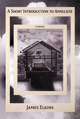 A Short Introduction to Anneliese - James Elkins [KSIĄŻKA]