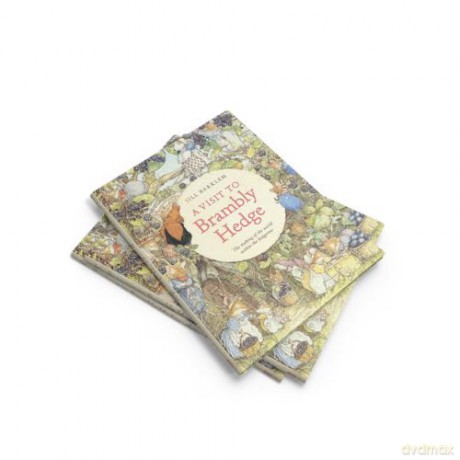 A Visit to Brambly Hedge: An illustrated companion to the world of Brambly Hedge, perfect for collectors and fans of Jill Barklem! - Jill Barklem [KSIĄŻKA]