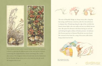 A Visit to Brambly Hedge: An illustrated companion to the world of Brambly Hedge, perfect for collectors and fans of Jill Barklem! - Jill Barklem [KSIĄŻKA]