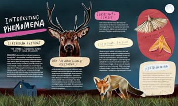 A Wild Child's Guide to Nature at Night: The perfect gift book for young nature lovers: 1 - Dara McAnulty [KSIĄŻKA]