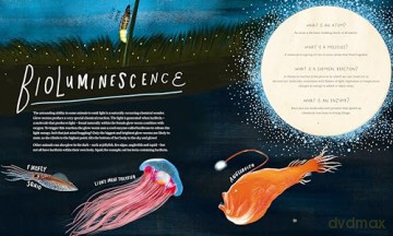 A Wild Child's Guide to Nature at Night: The perfect gift book for young nature lovers: 1 - Dara McAnulty [KSIĄŻKA]
