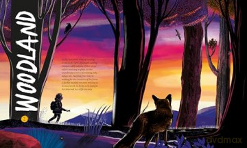 A Wild Child's Guide to Nature at Night: The perfect gift book for young nature lovers: 1 - Dara McAnulty [KSIĄŻKA]