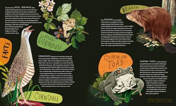 A Wild Child's Guide to Nature at Night: The perfect gift book for young nature lovers: 1 - Dara McAnulty [KSIĄŻKA]