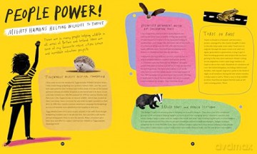 A Wild Child's Guide to Nature at Night: The perfect gift book for young nature lovers: 1 - Dara McAnulty [KSIĄŻKA]