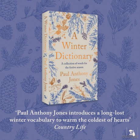 A Winter Dictionary: A Collection of Words for the Festive Season - The perfect stocking filler this Christmas - Paul Anthony Jones [KSIĄŻKA]