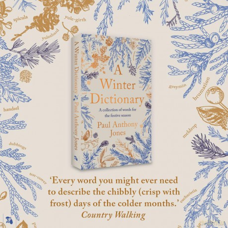 A Winter Dictionary: A Collection of Words for the Festive Season - The perfect stocking filler this Christmas - Paul Anthony Jones [KSIĄŻKA]
