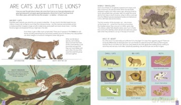 A World of Cats: A Celebration of Fascinating Facts and Amazing Real-Life Stories for Cat Lovers - Carlie Sorosiak [KSIĄŻKA]