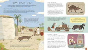 A World of Cats: A Celebration of Fascinating Facts and Amazing Real-Life Stories for Cat Lovers - Carlie Sorosiak [KSIĄŻKA]