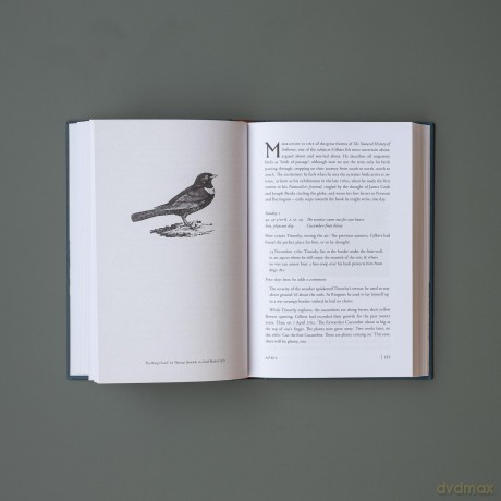 A Year with Gilbert White: The First Great Nature Writer - Jenny Uglow [KSIĄŻKA]