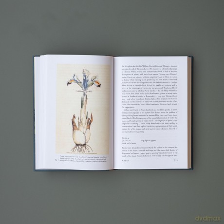A Year with Gilbert White: The First Great Nature Writer - Jenny Uglow [KSIĄŻKA]