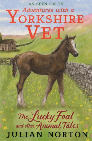 Adventures with a Yorkshire Vet: The Lucky Foal and Other Animal Tales - Julian Norton [KSIĄŻKA]