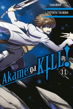 Akame ga KILL!, Vol. 11 - Takahiro [KSIĄŻKA]