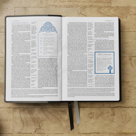 Alexander Maclaren Study Bible: Encouragement and Insights for a Christ-Centered Life - Thomas Nelson [KSIĄŻKA]