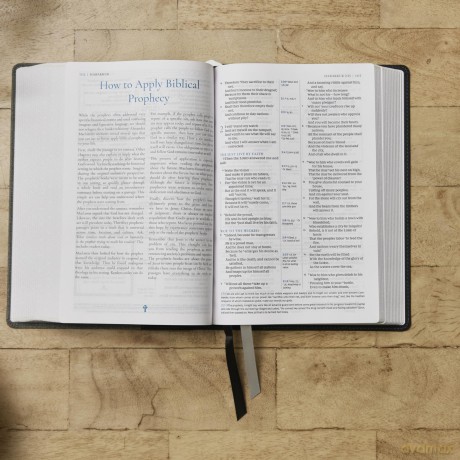 Alexander Maclaren Study Bible: Encouragement and Insights for a Christ-Centered Life - Thomas Nelson [KSIĄŻKA]
