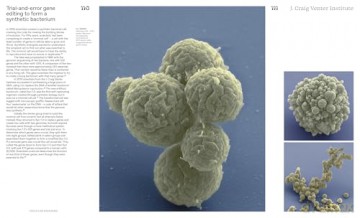 Alive: Synthetic cells, feral robots, rebellious AI, and the design of radical life - Madeline Schwartzman [KSIĄŻKA]