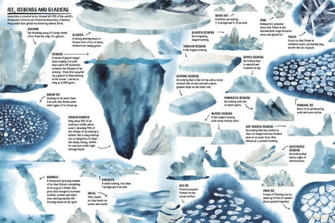 All About Antarctica - Marc Martin [KSIĄŻKA]