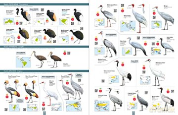 All the Birds of the World - Josep del Hoyo [KSIĄŻKA]