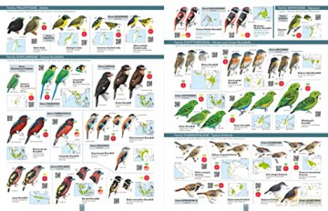 All the Birds of the World - Josep del Hoyo [KSIĄŻKA]