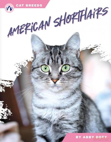 American Shorthairs - Abby Doty [KSIĄŻKA]