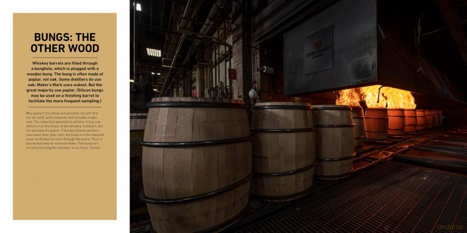 American Whiskey Master Class: The Ultimate Guide to Understanding Bourbon, Rye, and Other American Whiskeys - Lew Bryson [KSIĄŻKA]