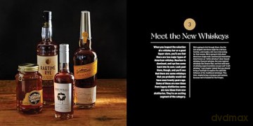 American Whiskey Master Class: The Ultimate Guide to Understanding Bourbon, Rye, and Other American Whiskeys - Lew Bryson [KSIĄŻKA]