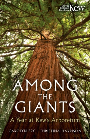 Among the Giants: A Year at Kew's Arboretum - Kew Gardens [KSIĄŻKA]