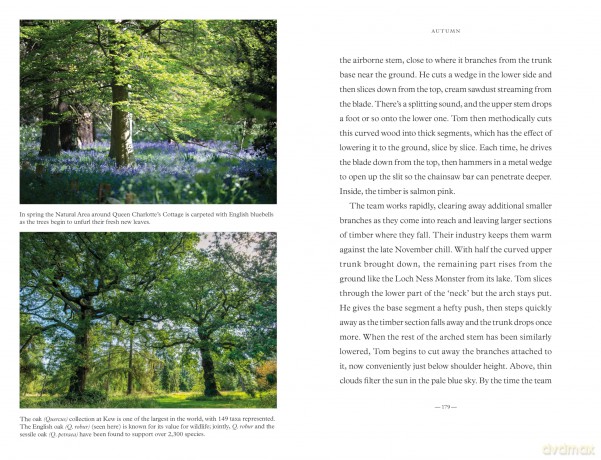 Among the Giants: A Year at Kew's Arboretum - Kew Gardens [KSIĄŻKA]