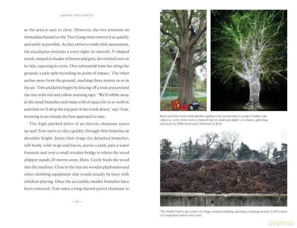 Among the Giants: A Year at Kew's Arboretum - Kew Gardens [KSIĄŻKA]